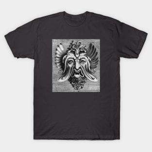 DEMON FACE (2) T-Shirt